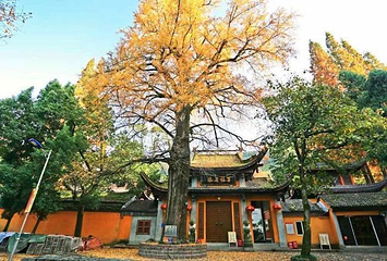 灵峰山-灵峰寺第 22 张图片