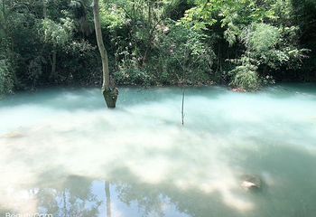 香水河第 33 张图片