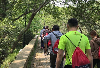 雨花胜境第 41 张图片