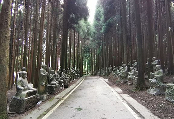 武陵山国家森林公园第 76 张图片