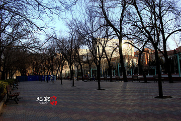 北京外国语大学第 13 张图片