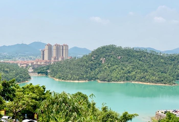 金台寺第 11 张图片