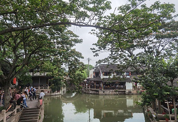 枫泾古镇第 139 张图片
