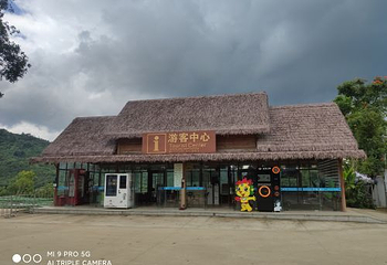 海南百花岭热带雨林文化旅游区第 56 张图片
