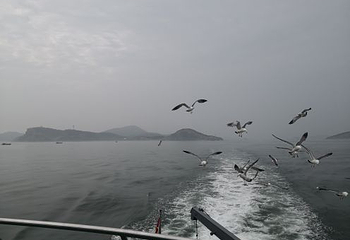 长岛海上游第 43 张图片