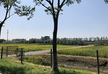 长兴岛郊野公园第 80 张图片