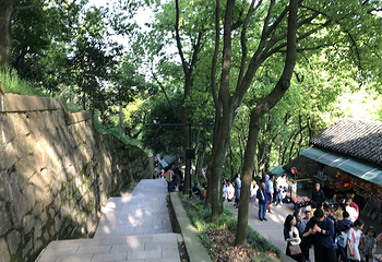 南通狼山风景名胜区第 119 张图片
