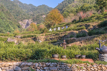 庐山桃花源景区第 15 张图片