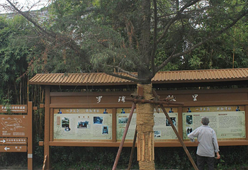 罗瑞卿故居第 22 张图片