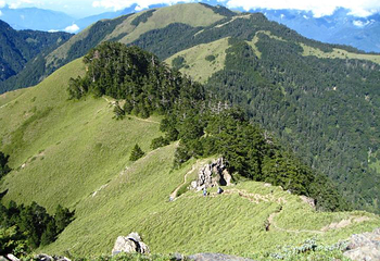 合欢山风景区第 8 张图片