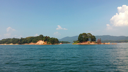 万绿湖风景区第 49 张图片