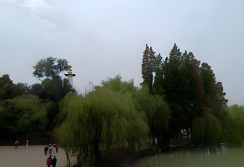 个园第 244 张图片