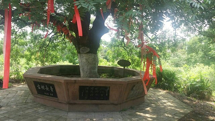 白水寺第 29 张图片