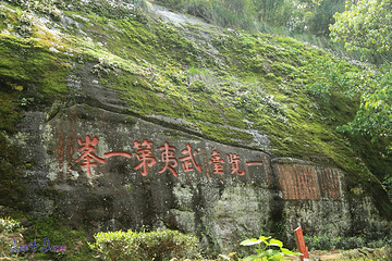 天游峰第 24 张图片