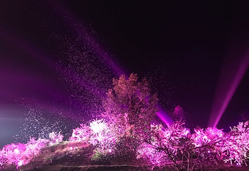 《桃花源记》大型溪流漫游实景演出第 20 张图片