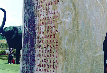 中山德华湿地花海第 17 张图片