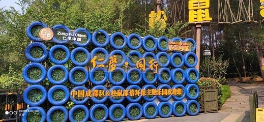 松鼠的森林第 34 张图片