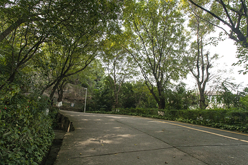 阜峰文塔第 6 张图片