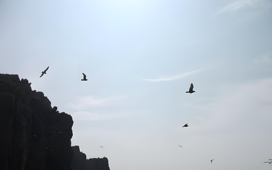 那香海鸡鸣岛第 21 张图片