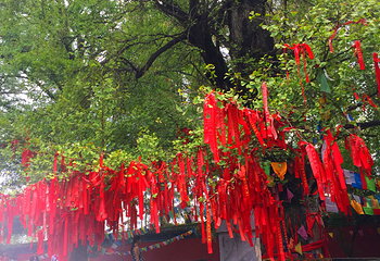 多宝佛塔话珍奇第 9 张图片