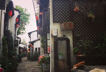 小河直街历史文化街区第 24 张图片