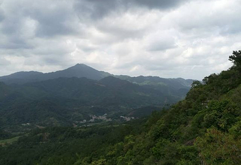 石根山第 47 张图片