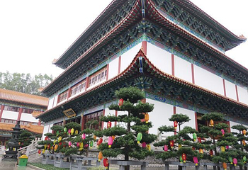 普陀寺第 21 张图片