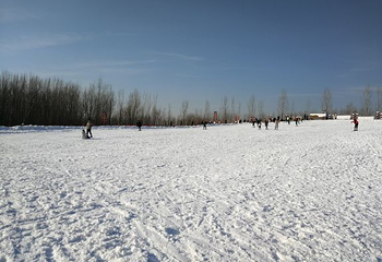豫龙滑雪场第 8 张图片