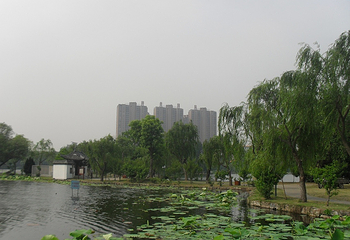 菱湖公园第 13 张图片