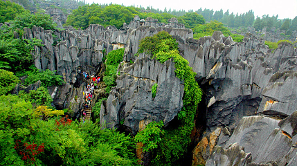 石林风景区第 77 张图片