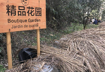 巫山峡谷旅游景区第 38 张图片