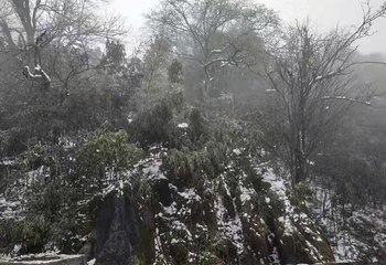 金佛山北坡景区第 44 张图片
