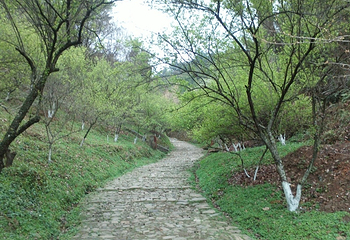梅关古道第 35 张图片
