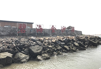金沙岛第 39 张图片
