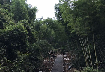 飞水涯景区第 13 张图片
