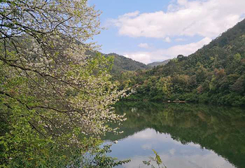 石门国家森林公园第 53 张图片