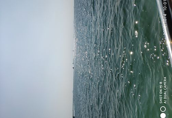青岛海上观光第 36 张图片
