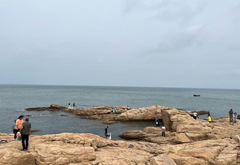 海驴岛第 50 张图片