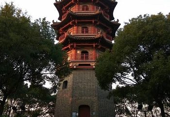 蕺山第 11 张图片
