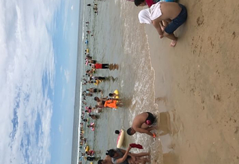 海陵岛第 65 张图片