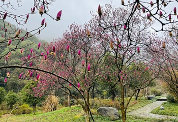 黄公望隐居地第 28 张图片