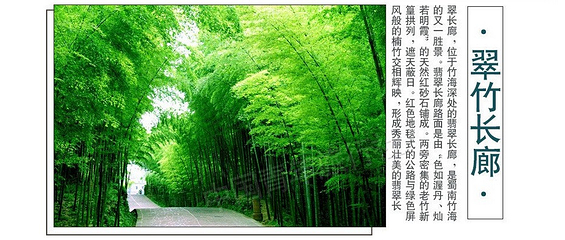 蜀南竹海风景名胜区-忘忧谷第 5 张图片