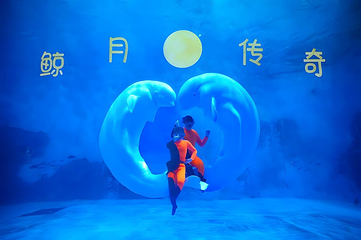 海合安天津极地海洋公园第 9 张图片