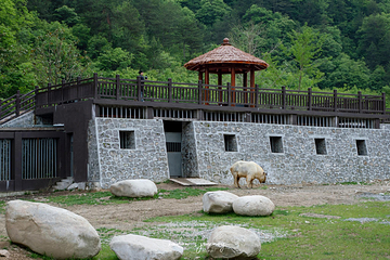 长青华阳景区第 44 张图片