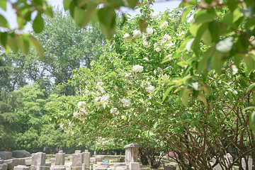 午朝门公园第 30 张图片