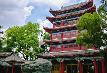 梧州河滨公园第 13 张图片