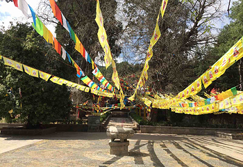 文峰寺第 16 张图片