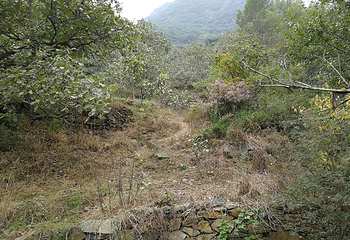 棋盘山景区第 13 张图片