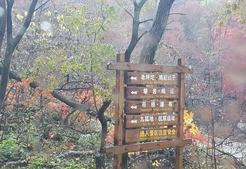 龙道沟第 9 张图片