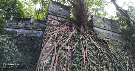 花城广场第 142 张图片